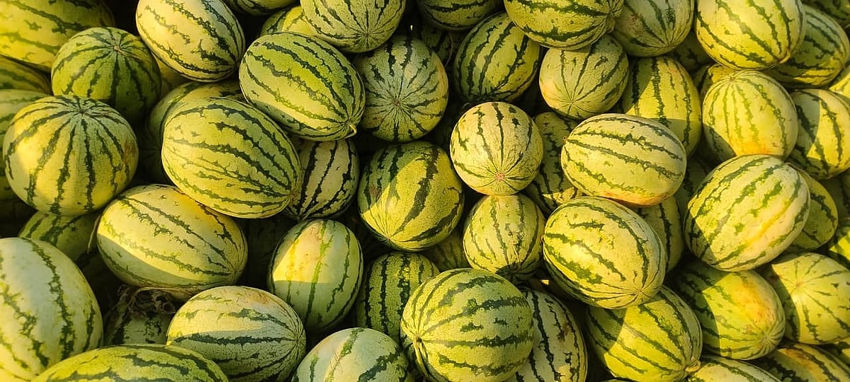 ರಂಜಾನ್: ಹಣ್ಣುಗಳಿಗೆ ಬೇಡಿಕೆ... ಮಾರುಕಟ್ಟೆಗೆ ಕಲ್ಲಂಗಡಿ, ಅನಾನಸ್‌ ದಾಂಗುಡಿ