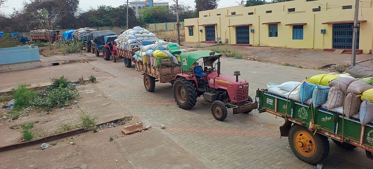 ಜಗಳೂರು: ರಾಗಿ ಮಾರಾಟಕ್ಕೆ ಮುಗಿಬಿದ್ದ ರೈತರು