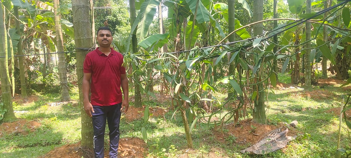 ಸಮಗ್ರ ಕೃಷಿಯಲ್ಲಿ ಯಶಸ್ಸು ಕಂಡ ಸಚಿನ್