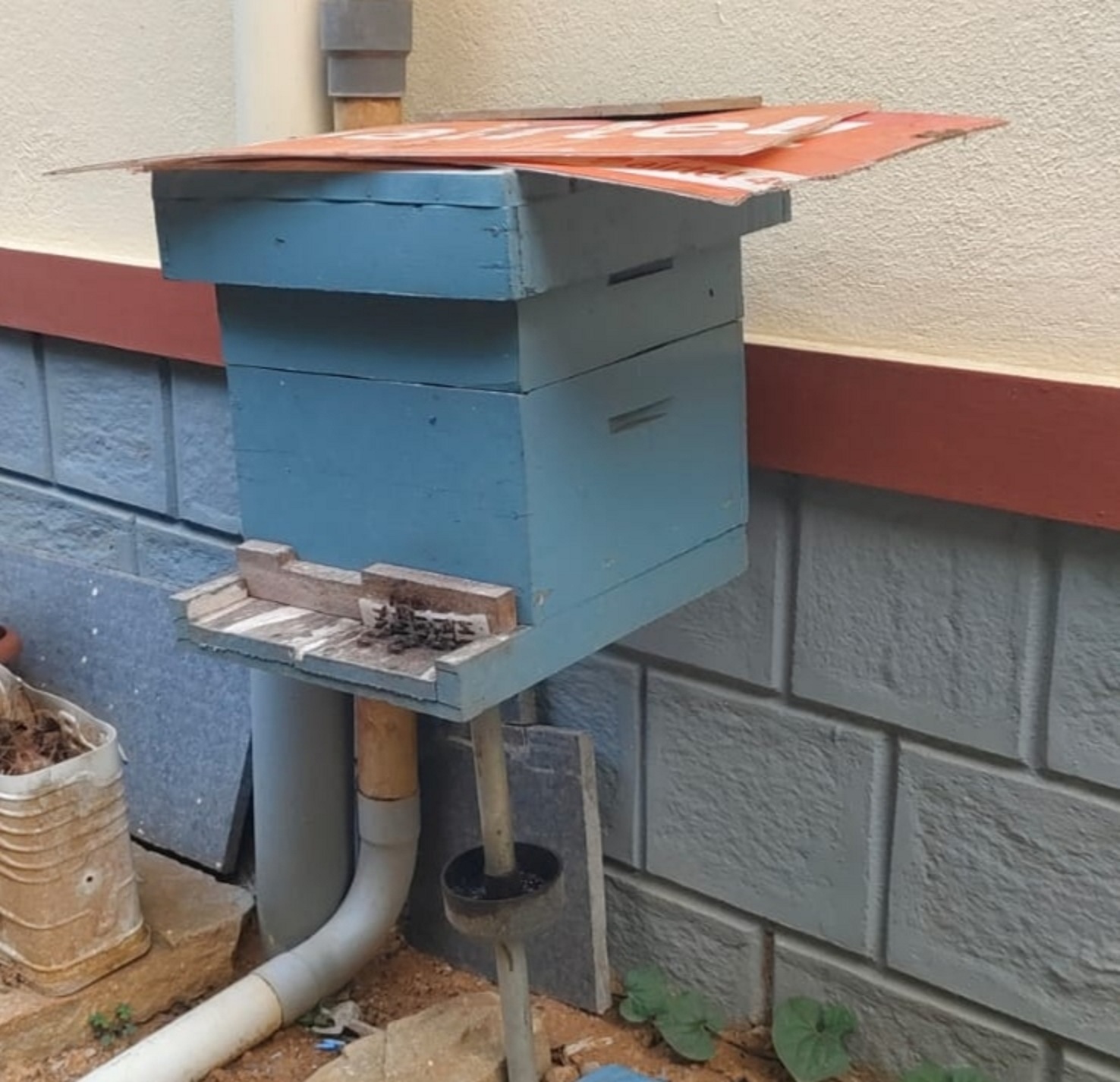 ಜೇನು ಪೆಟ್ಟಿಗೆ