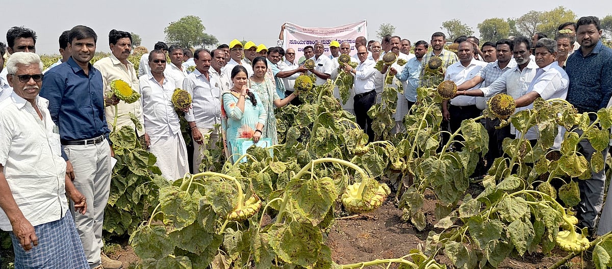 14,000 ಕ್ವಿಂಟಲ್‍ ಗುಣಮಟ್ಟದ ಬೀಜೋತ್ಪಾದನೆ ಗುರಿ; ಅರುಣಕುಮಾರ ಹೊಸಮನಿ