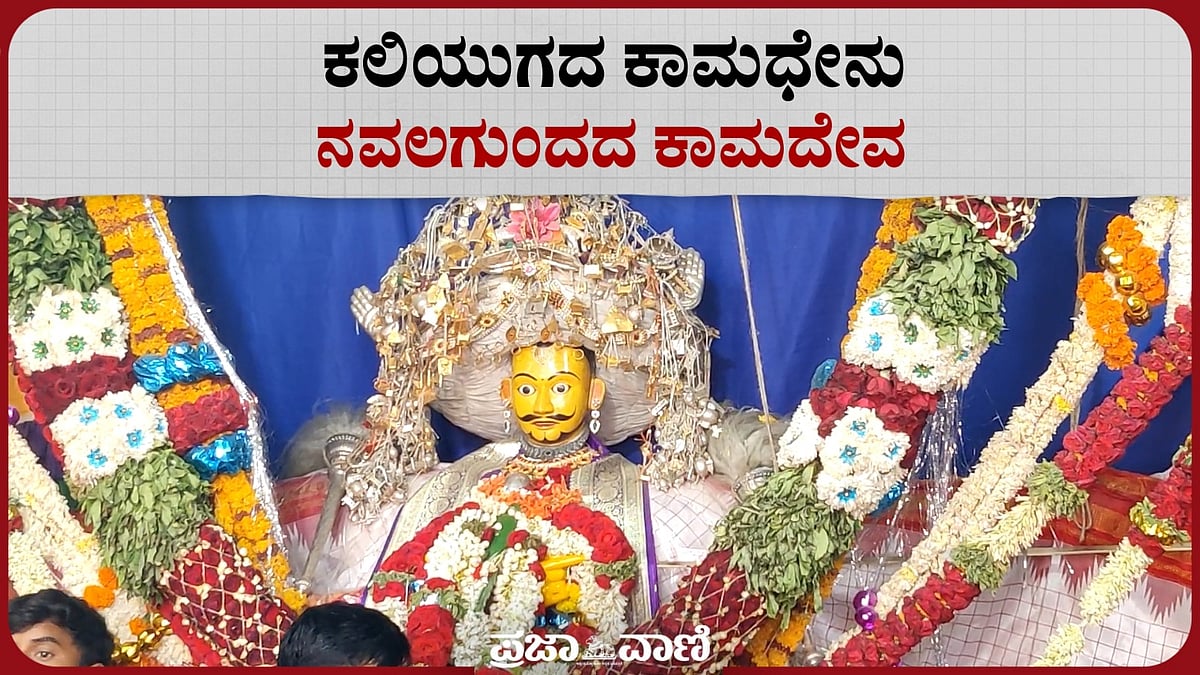 VIDEO: 'ಕಲಿಯುಗದ ಕಾಮಧೇನು’ ನವಲಗುಂದದ ಕಾಮದೇವರು