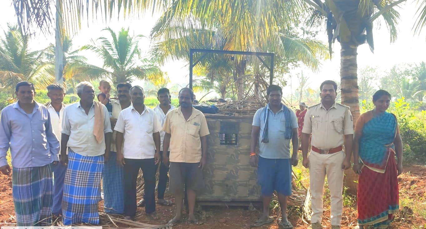 ಹಲಗೂರು ಸಮೀಪದ ನಿಟ್ಟೂರು ಗ್ರಾಮದ ಹೊರವಲಯದಲ್ಲಿ ಬೋನಿನಲ್ಲಿ ಸೆರೆಯಾದ ಚಿರತೆಯನ್ನು ರೈತರ ಸಮ್ಮುಖದಲ್ಲಿ ಮಳವಳ್ಳಿ ಪಟ್ಟಣಕ್ಕೆ ಸಾಗಿಸಲಾಯಿತು.