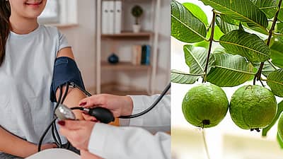 ಸೀಬೆಹಣ್ಣು ಪೊಟ್ಯಾಷಿಯಂ, ಫೈಬರ್ ಅಂಶವನ್ನು ಒಳಗೊಂಡಿದೆ. ಈ ಹಣ್ಣಿನ ಸೇವನೆಯಿಂದ ರಕ್ತದೊತ್ತಡ ಹಾಗೂ ಕೆಟ್ಟ ಕೊಲೆಸ್ಟ್ರಾಲ್ ಅನ್ನು ನಿಯಂತ್ರಿಸಿ ಹೃದಯದ ಆರೋಗ್ಯಕ್ಕೆ ಸಹಕಾರಿಯಾಗಲಿದೆ. 