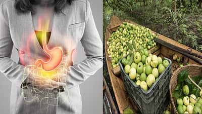 ಗುಲಾಬಿ ಬಣ್ಣದ ಸೀಬೆ ಹಣ್ಣಿಗಿಂತ ಬಿಳಿ ತಿರುಳು ಹೊಂದಿರುವ ಈ ಹಣ್ಣಿನಲ್ಲಿ ಅಧಿಕ ಪ್ರಮಾಣದ ನಾರಿನಾಂಶ ಇರುತ್ತದೆ. ಈ ಹಣ್ಣನ್ನು ದಿನಕ್ಕೊಂದು ಸೇವಿಸುವುದರಿಂದ ಜೀರ್ಣಕ್ರಿಯೆಗೆ ಉಪಯುಕ್ತ.