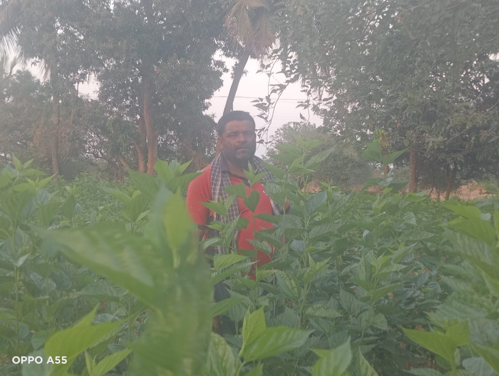 ರೇಷ್ಮೆ ಬೆಳೆಯೊಂದಿಗೆ ರೈತ ಇಸ್ಮಾಯಿಲ್
