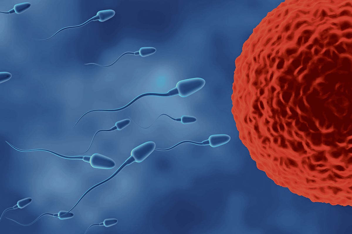 ಅಂಡಾಣು ಮಾರಾಟ ಪ್ರಕರಣ: ಸಂತ್ರಸ್ತೆಯರಿಗೆ ನಕಲಿ ಗುರುತಿನ ಚೀಟಿ ಸೃಷ್ಟಿಸಿದವನ ಬಂಧನ