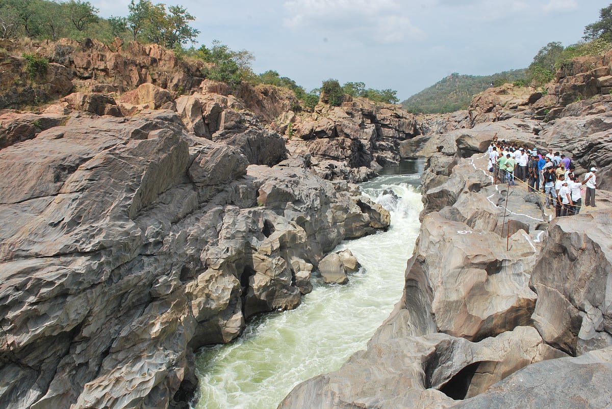ಮೇಕೆದಾಟು ಯೋಜನೆ: ₹9 ಸಾವಿರ ಕೋಟಿಯ ಡಿಪಿಆರ್ ಸಲ್ಲಿಕೆ
