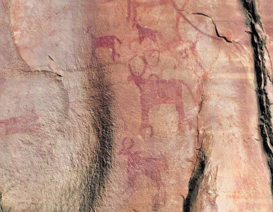 ಕಾಡುಪ್ರಾಣಿಗಳ ಚಿತ್ರಣ