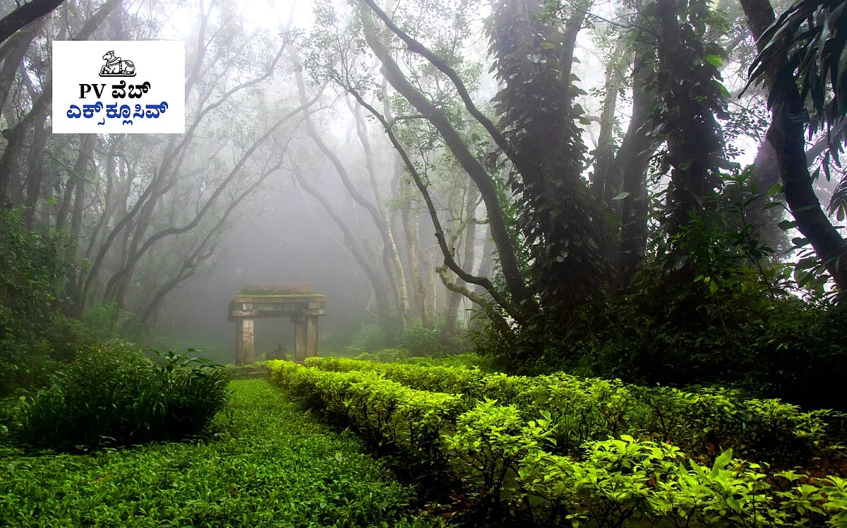 PV Web Exclusive: ಬಂತು ಬೇಸಿಗೆ.. ಬನ್ನಿ ‘ನಂದಿ’ಗೆ