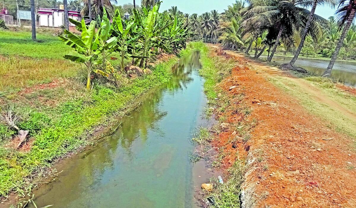ಶ್ರೀರಂಗಪಟ್ಟಣದಲ್ಲಿ ಹರಿಯುವ ಬಂಗಾರದೊಡ್ಡಿ ನಾಲೆ