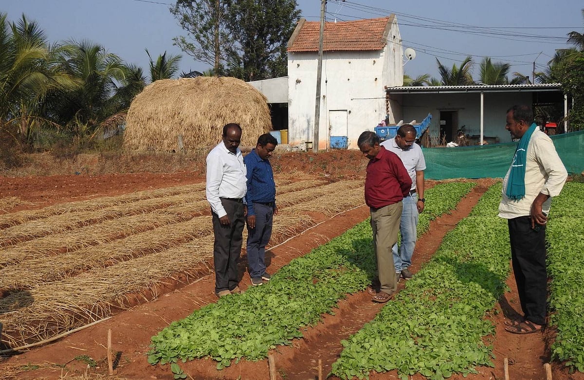 ಹುಣಸೂರು: ತಂಬಾಕು ಬೇಸಾಯಕ್ಕೆ ಸಜ್ಜು 