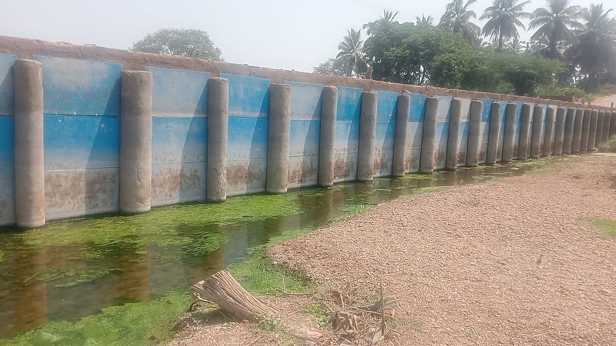 ಹೂಳು ತುಂಬಿದ ನದಿ: ನೀರಿನ ಅಭಾವ