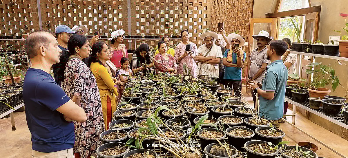 ಕಾಡಿನಲ್ಲೊಂದು ಕಾಡು ಆರ್ಕಿಡೇರಿಯಂ