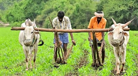 ಪಿಎಂ ಕಿಸಾನ್ ಯೋಜನೆ: ಕರ್ನಾಟಕದಲ್ಲಿ ಫಲಾನುಭವಿಗಳ ಸಂಖ್ಯೆ 10 ಲಕ್ಷ ಕುಸಿತ 