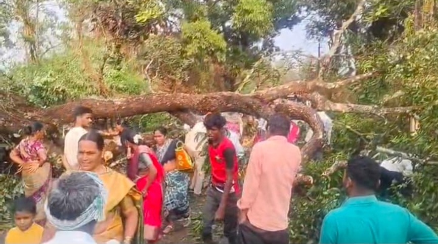ಮುಂಡಗೋಡ ತಾಲ್ಲೂಕಿನ ಪಾಳಾ ಹಾನಗಲ್‌ ರಸ್ತೆ ಮೇಲೆ ಮರವೊಂದು ಬಿದ್ದು ವಾಹನ ಸಂಚಾರಕ್ಕೆ ತೊಂದರೆಯಾಯಿತು
