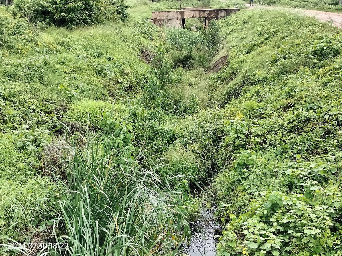 ದಾವಣಗೆರೆ| ಭದ್ರೆಯ ದರ್ಶನಕ್ಕೆ ಕಾದಿರುವ ಅನ್ನದಾತ: ದಶಕಗಳ ಸಂಕಟಕ್ಕೆ ಇಲ್ಲ ಪರಿಹಾರ