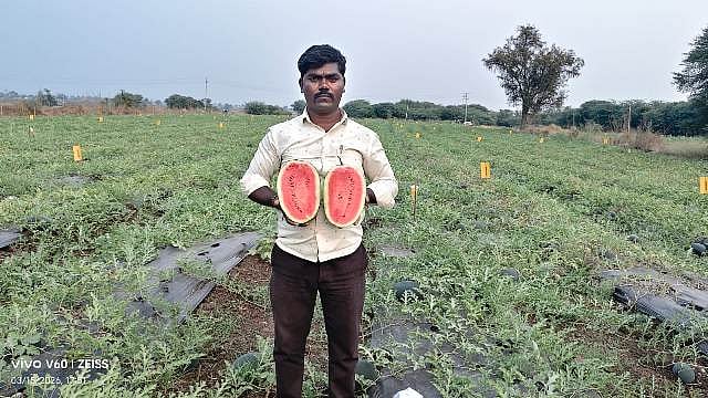 ವಡಗೇರಾ | ಕಲ್ಲಂಗಡಿ ಬೆಲೆ ಕುಸಿತ: ಬೆಳೆಗಾರ ಕಂಗಾಲು