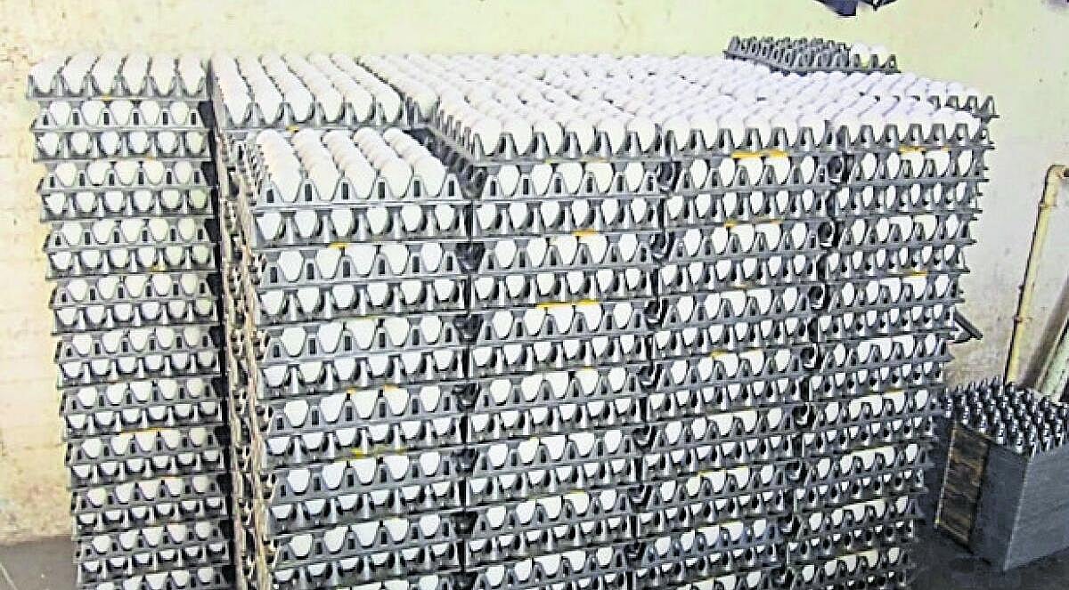 ಯಾದಗಿರಿ: ಕೋಳಿ ಮೊಟ್ಟೆ ದರದಲ್ಲಿ ಕುಸಿತ