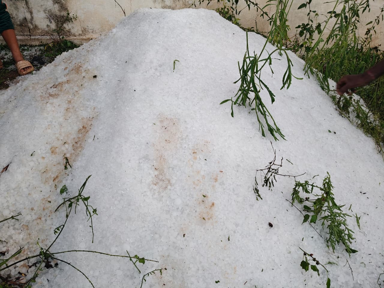 ಚಾಮರಾಜನಗರ ತಾಲ್ಲೂಕಿನಲ್ಲಿ ಬಿದ್ದ ಆಲಿಕಲ್ಲುಗಳನ್ನು ಒಂದೆಡೆ ಗುಡ್ಡೆ ಹಾಕಿರುವರ ದೃಶ್ಯ