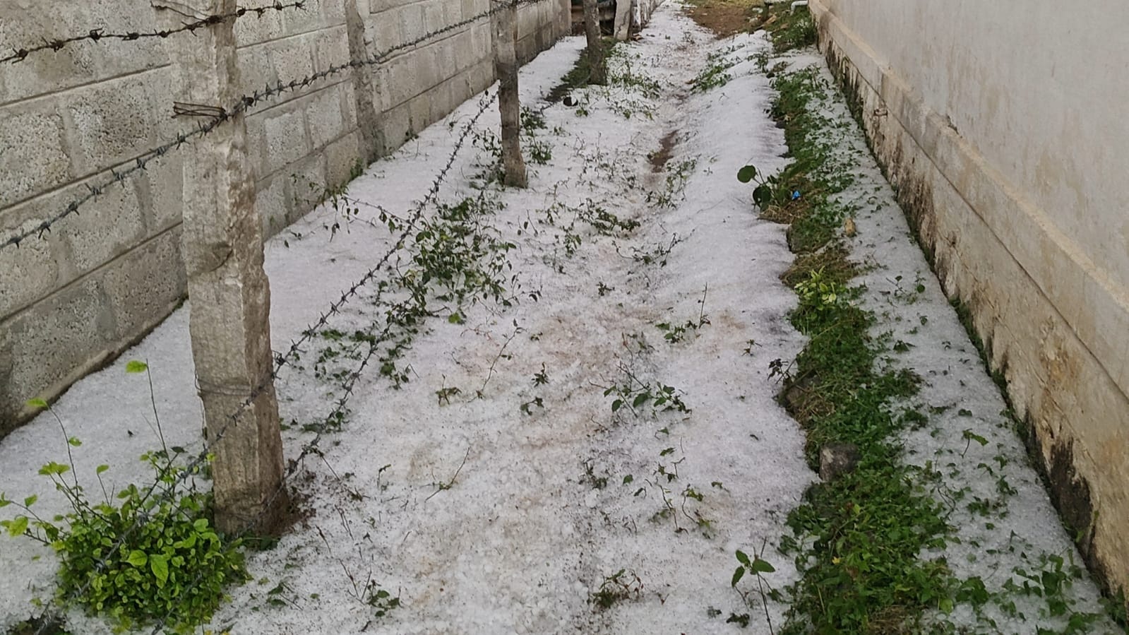 ಚಾಮರಾಜನಗರ ತಾಲ್ಲೂಕಿನ ಬಡಾವಣೆಯೊಂದರ ಓಣಿಯಲ್ಲಿ ತುಂಬಿರುವ ಆಲಿಕಲ್ಲು ರಾಶಿ