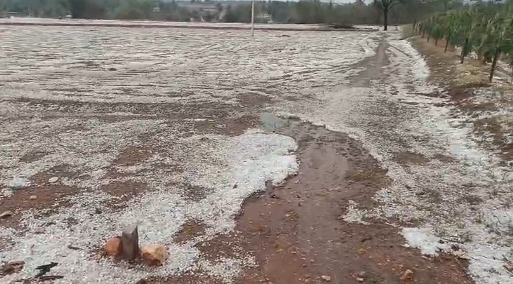 ತಮಿಳುನಾಡಿನ ತಾಳವಾಡಿಯ ಕೃಷಿಭೂಮಿಯಲ್ಲಿ ಬಿದ್ದಿದ್ದ ಆಲಿಕಲ್ಲು ರಾಶಿ