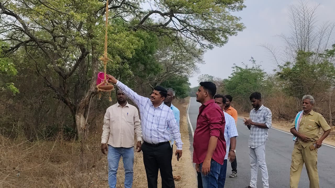 ಬಂಗಾರಪೇಟೆ ತಾಲ್ಲೂಕಿನ ಬಲಮಂದೆ ಗ್ರಾಮದ ಪಂಚಾಯಿತಿ ವ್ಯಾಪ್ತಿಯಲ್ಲಿರುವ ಭೀಮಗಾನಹಳ್ಳಿ ಗ್ರಾಮದಿಂದ ಕನಮನಹಳ್ಳಿ ಗ್ರಾಮದ ವರೆಗೆ ರಸ್ತೆ ಬದಿಯಲ್ಲಿ ಮರಗಳಿಗೆ ಮಡಿಕೆಗಳನ್ನು ಕಟ್ಟಿ ಮಡಿಕೆ ಗಳಿಗೆ ಇಓ ರವಿ ಕುಮಾರ್ ನೀರನ್ನು ಹಾಕುತ್ತಿರುವುದು