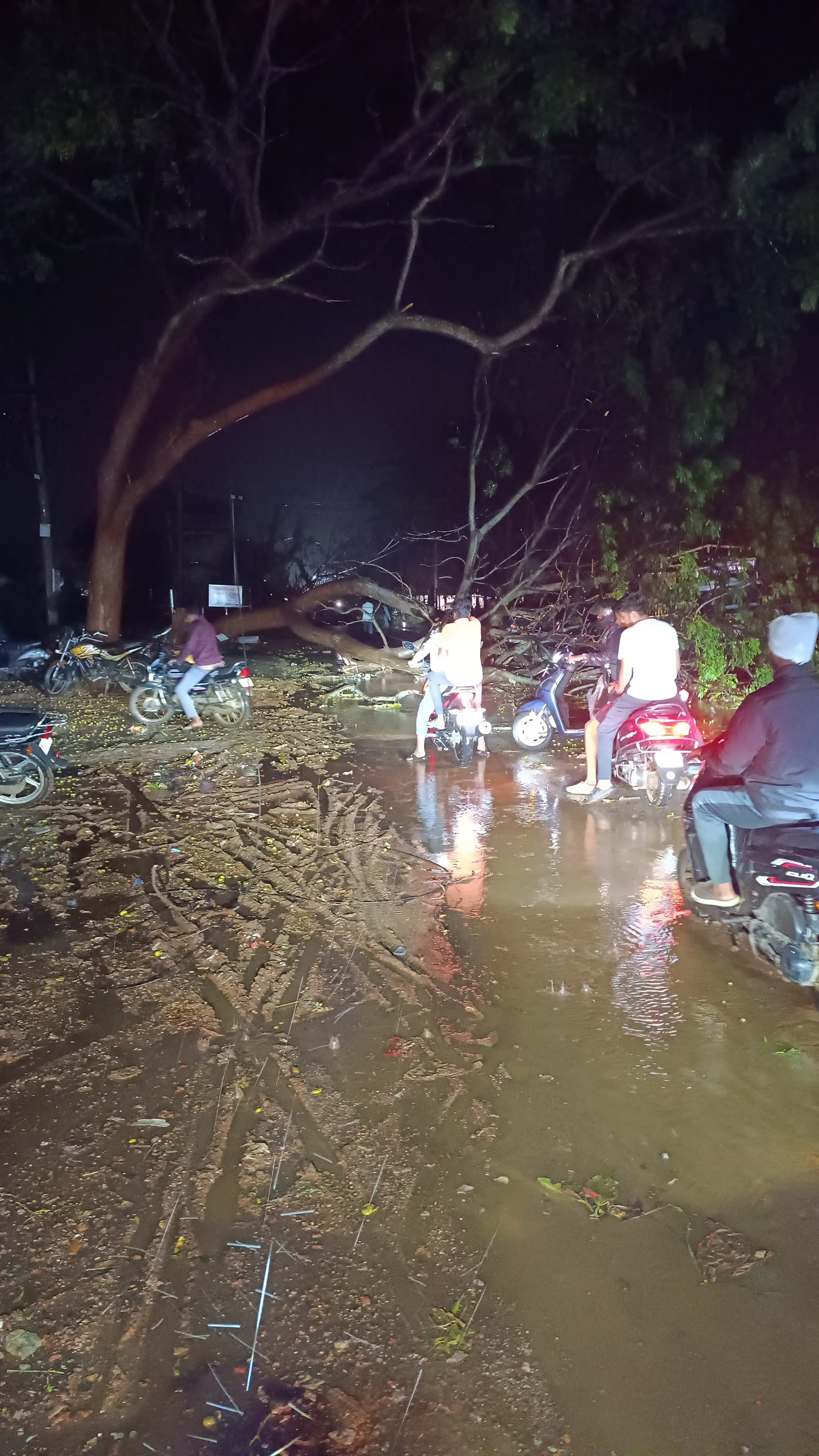 ದೊಡ್ಡಬಳ್ಳಾಪುರದಲ್ಲಿ ಬುಧವಾರ ರಾತ್ರಿ 8 ಗಂಟೆ ಸಮಯದಲ್ಲಿ ಸುರಿದ ಭಾರಿ ಮಳೆ ಗಾಳಿಗೆ ಕೋರ್ಟ್ ರಸ್ತೆಯಲ್ಲಿ ಮರಗಳು ಉರುಳಿಬಿದ್ದಿವೆ