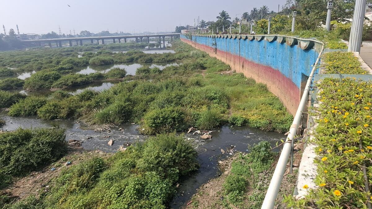 ಒಳನೋಟ: ಸಾಯುತ್ತಿರುವ ಜೀವ ನದಿಗಳು!