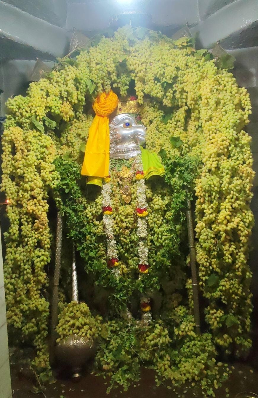 ಆಲಮಟ್ಟಿ ಸಮೀಪದ ಯಲಗೂರದಲ್ಲಿ ಯಲಗೂರೇಶನಿಗೆ 200 ಕೆ.ಜಿ ದ್ರಾಕ್ಷಿಯಿಂದ ಅಲಂಕಾರ ಮಾಡಲಾಗಿತ್ತು