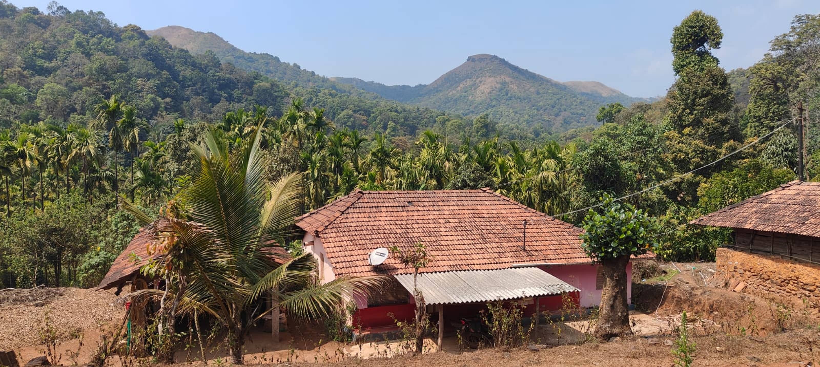 ಕುದುರೆಮುಖ ರಾಷ್ಟ್ರೀಯ ಉದ್ಯಾನದ ಅಂಚಿನಲ್ಲಿರುವ ಮನೆ  :ಪ್ರಜಾವಾಣಿ ಚಿತ್ರ