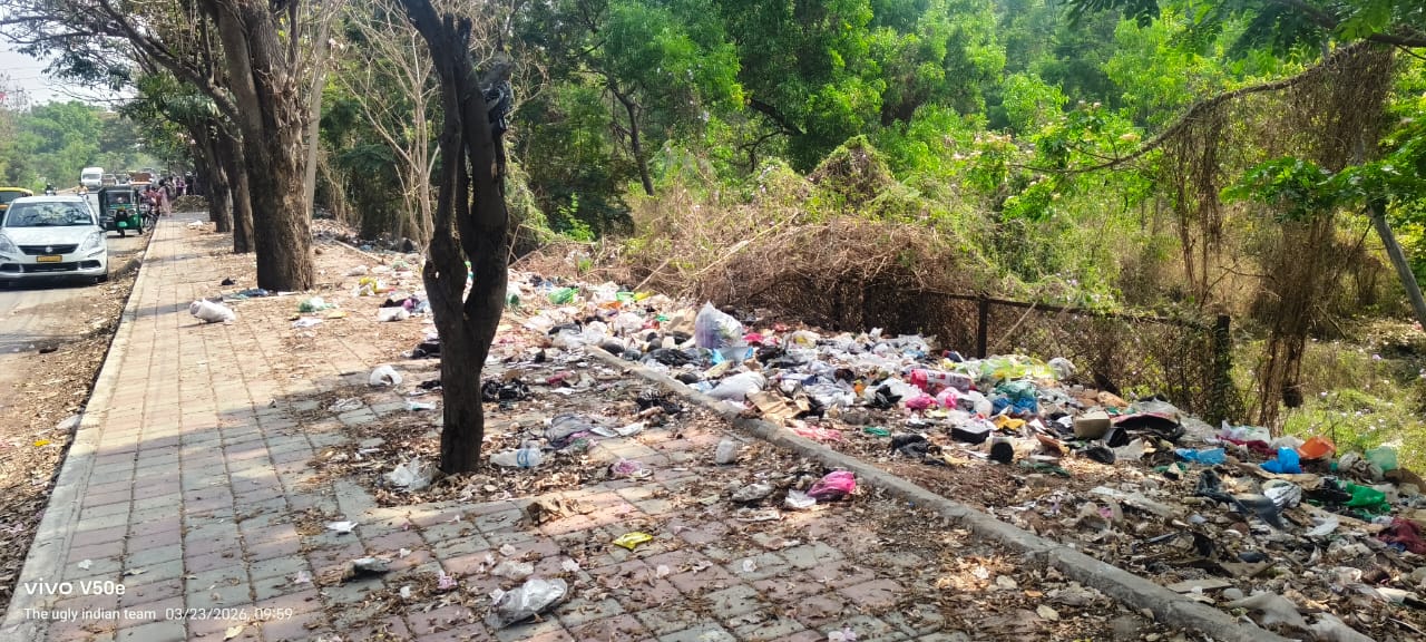 ಶಾಂತಿನಗರ ವರ್ತುಲ ರಸ್ತೆ ಬಳಿ ಎಸೆದಿರುವ ಕಸ