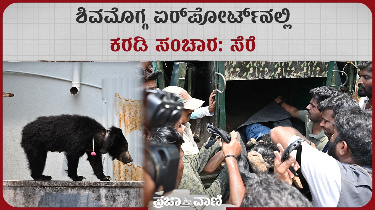 Video: ಶಿವಮೊಗ್ಗ ಏರ್‌ಪೋರ್ಟ್‌ನಲ್ಲಿ ಕರಡಿ ಸಂಚಾರ; ಸೆರೆ