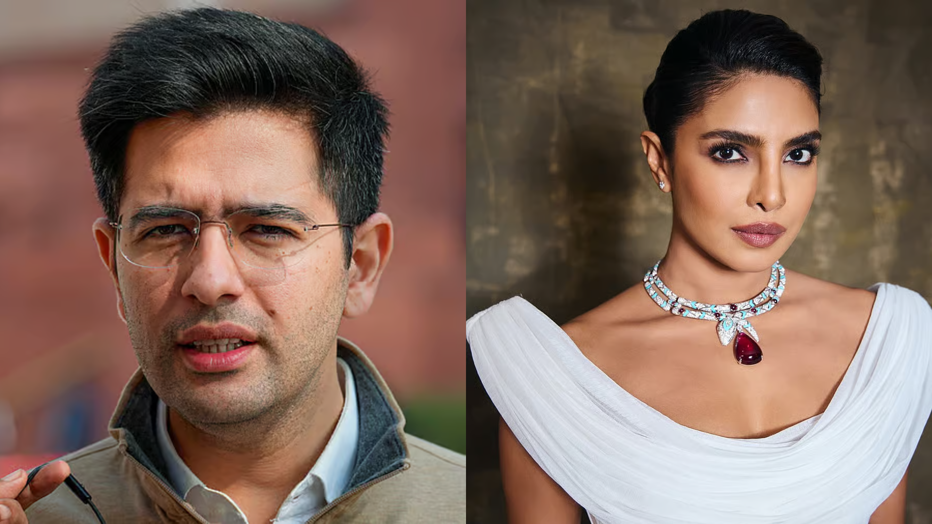 ರಾಘವ್ ಛಡ್ಡಾ ಬೆಂಬಲಕ್ಕೆ ನಿಂತ ನಟಿ ಪ್ರಿಯಾಂಕಾ ಚೋಪ್ರಾ