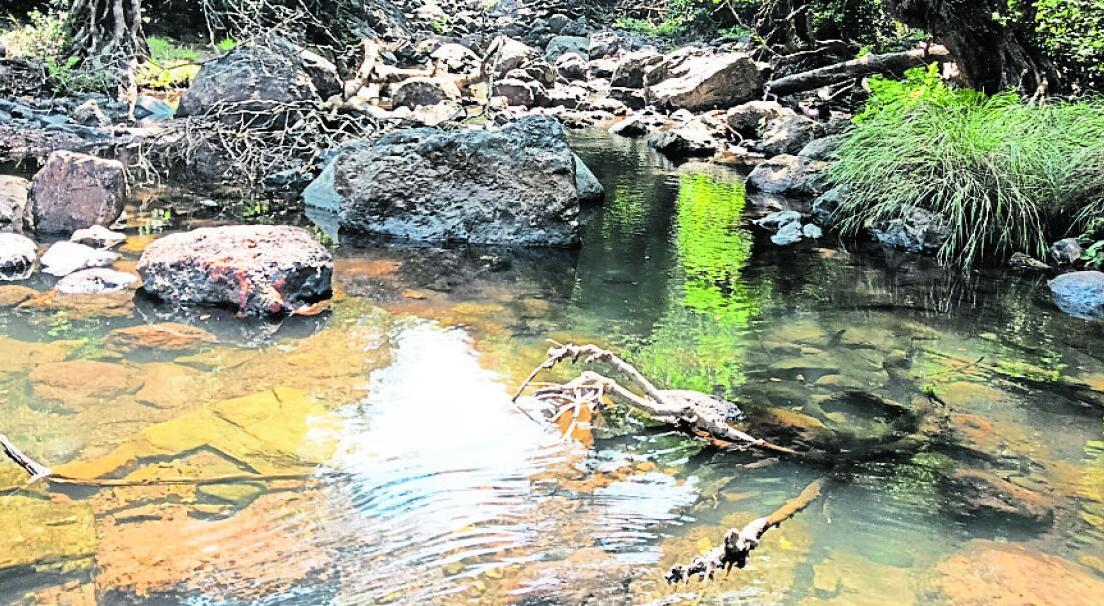 ಮಹದಾಯಿ: ಪ್ರಸ್ತಾವ ತೆಗೆದು ಹಾಕಿದ ಕೇಂದ್ರ ಸರ್ಕಾರ