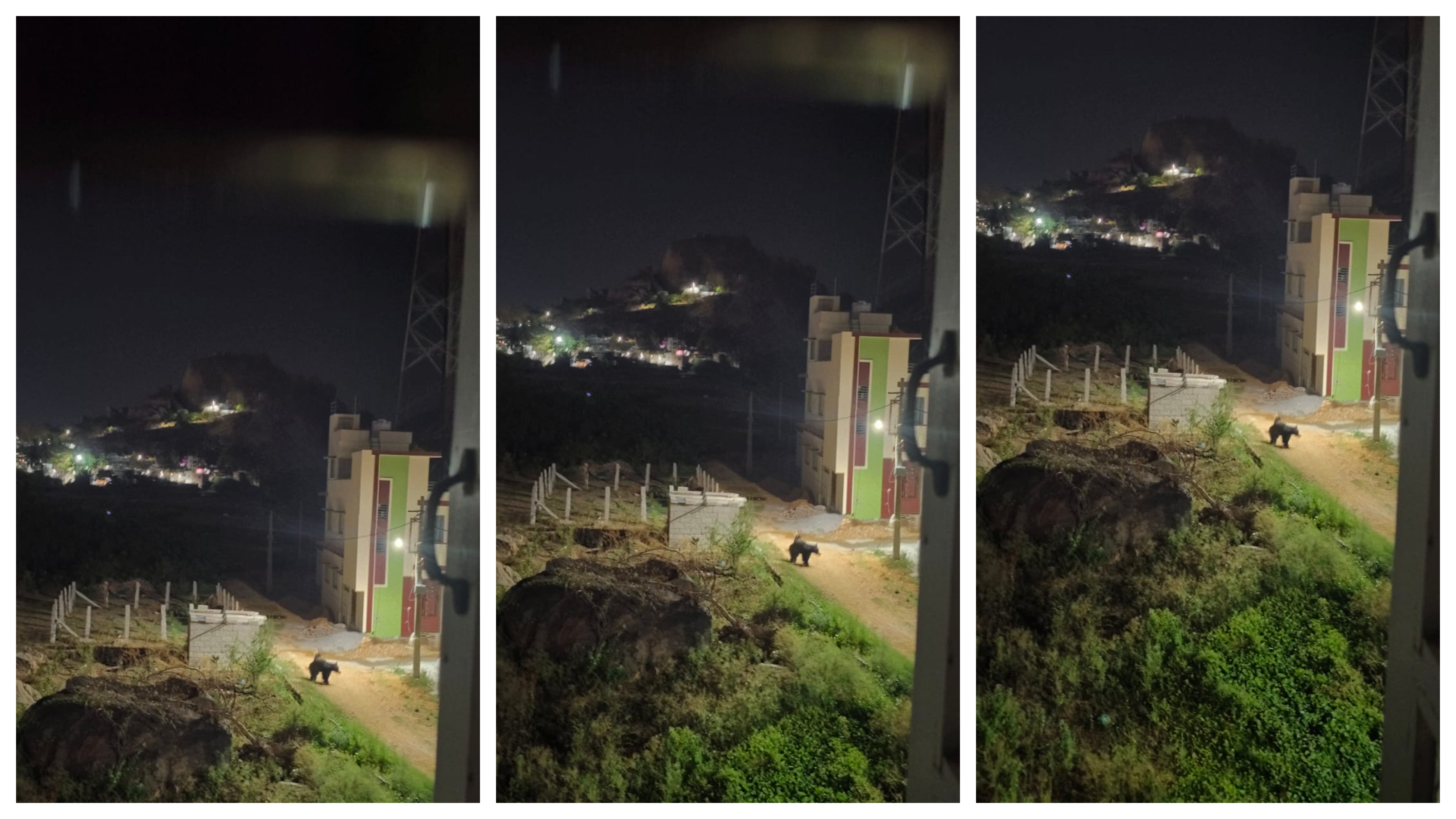 ಕೊರಟಗೆರೆ: ಜನ ವಸತಿ ಪ್ರದೇಶದಲ್ಲಿ ಕರಡಿ ಓಡಾಟ