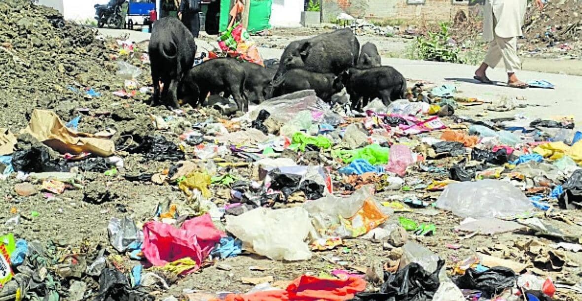 ಹರಿಹರ: ಇಲ್ಲಿ ಎಲ್ಲೆಂದರಲ್ಲಿ ಕಸದ ರಾಶಿ