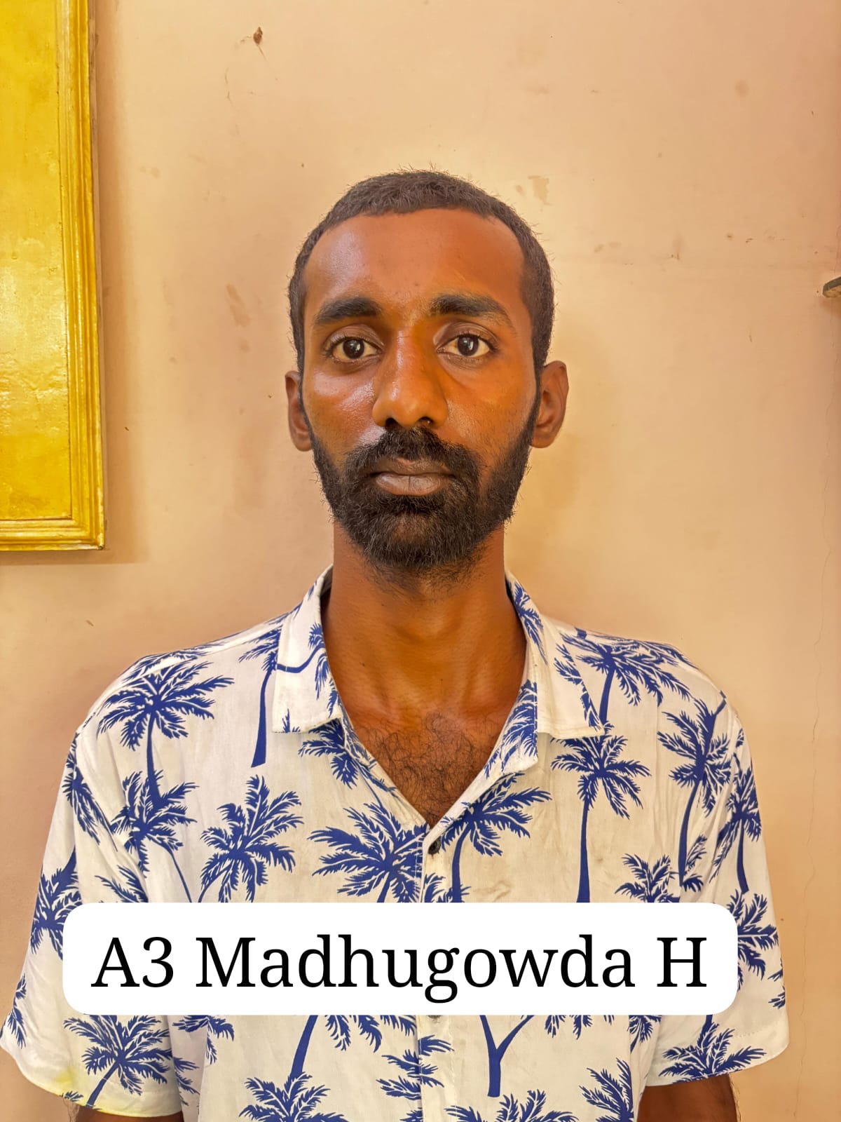 ಮಧುಗೌಡ