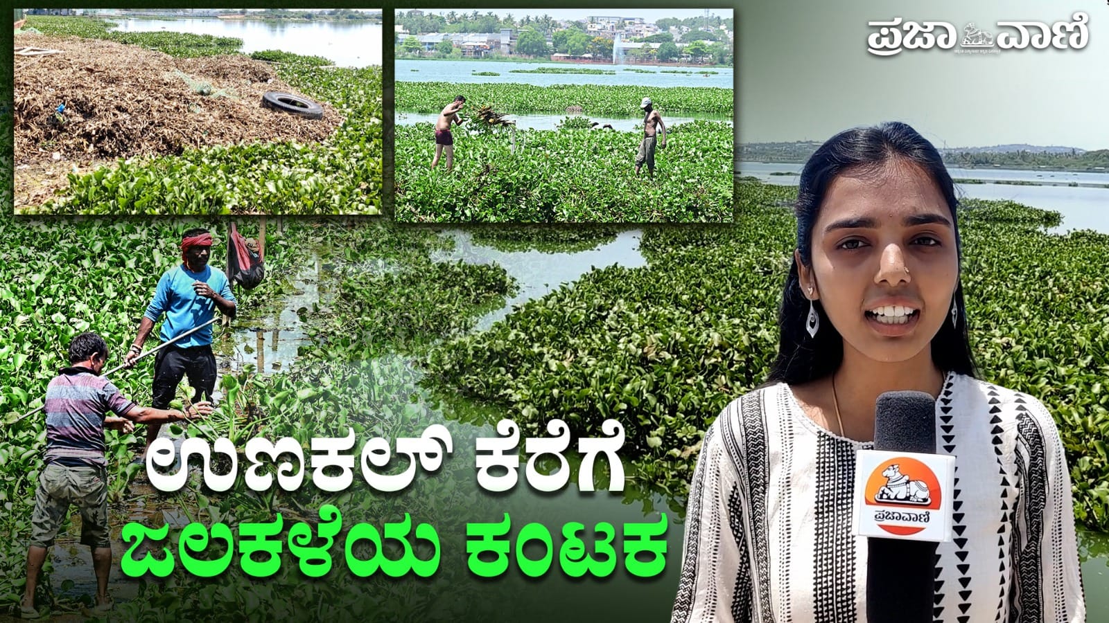 Video: ಹುಬ್ಬಳ್ಳಿ ಉಣಕಲ್‌ ಕೆರೆಗೆ ಕಳೆ ಕಂಟಕ
