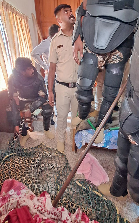 ಮೈಸೂರಿನ ಸಿದ್ದಾರ್ಥ ನಗರ ಬಡಾವಣೆಯಲ್ಲಿ ವಿನಯ ಮಾರ್ಗದ ನಿವಾಸಿ ಸುರೇಶ್‌ ಅವರ ಮನೆಯೊಳಗೆ ಸೇರಿಕೊಂಡಿದ್ದ ಚಿರತೆ– ಪ್ರಜಾವಾಣಿ ಚಿತ್ರ.