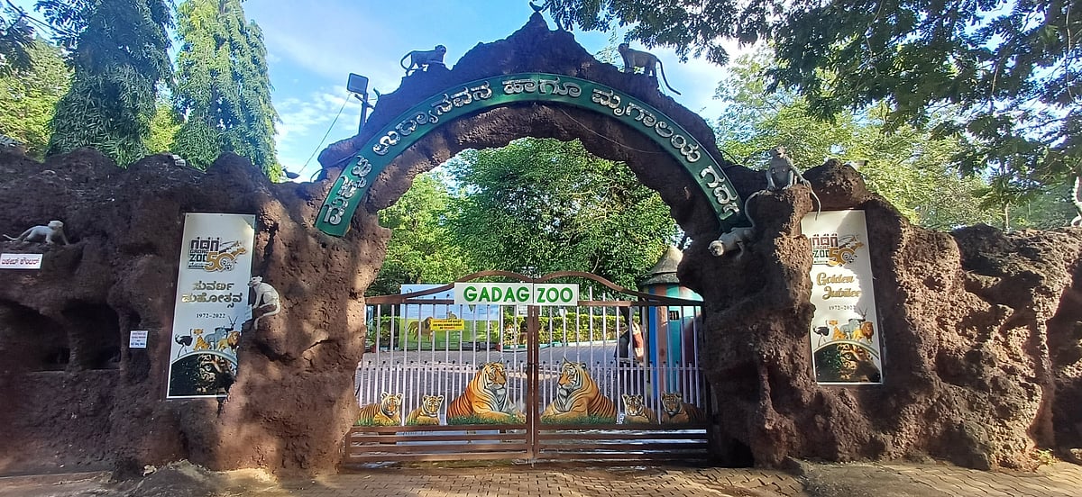 ಒಳನೋಟ: ಮೃಗಾಲಯದಲ್ಲಿ ಮೂಕರೋದನ