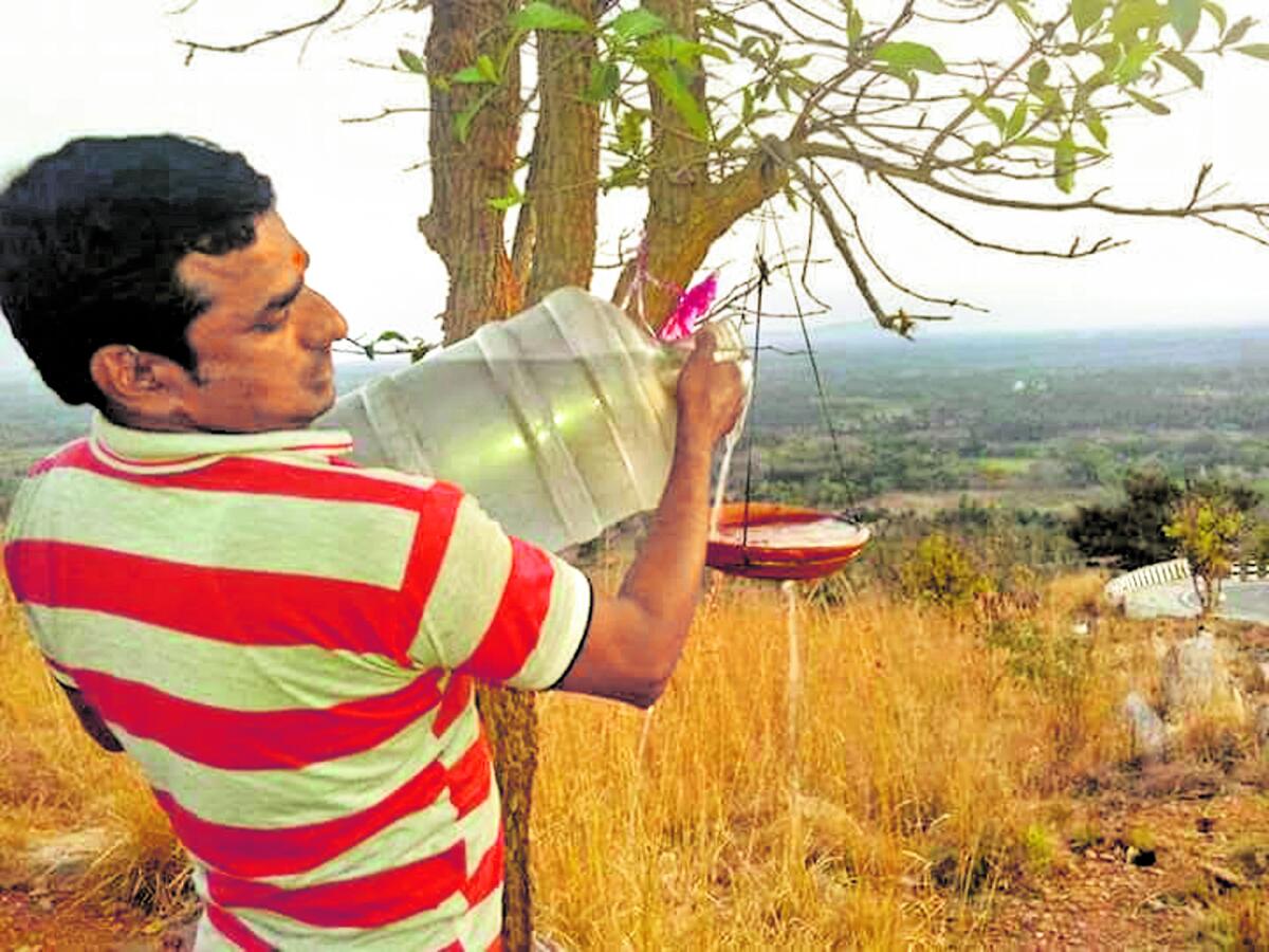 ಹಕ್ಕಿಗಳ ದಾಹ ನೀಗಿಸುವ ರಮೇಶ್