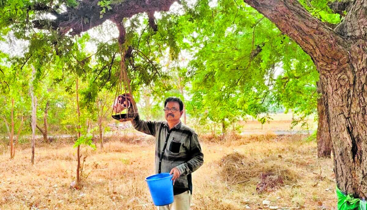 ಹಕ್ಕಿಗಳಿಗೆ ನೀರು ಇಡುತ್ತಿರುವ ಮನೋಹರ್‌