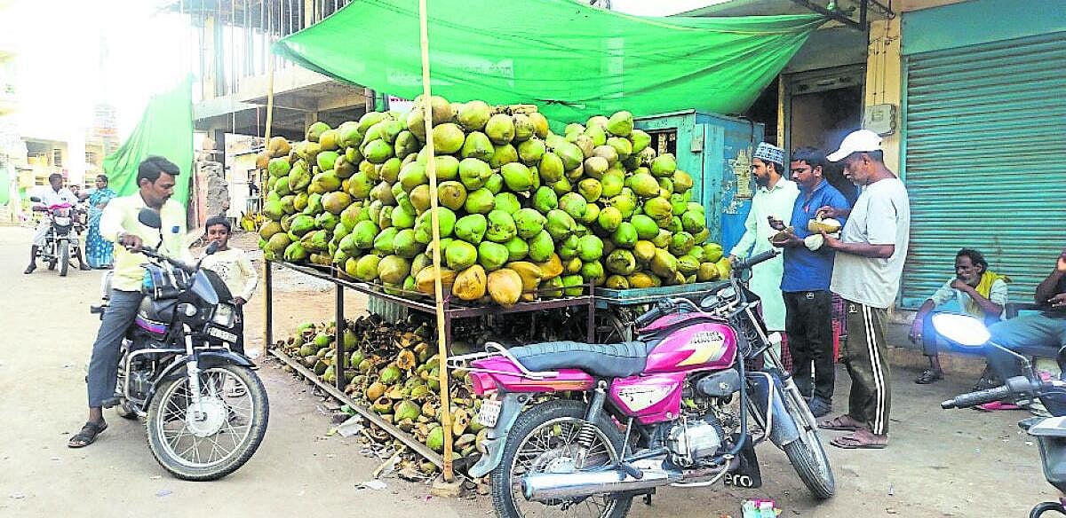 ಅಗ್ನಿಕುಂಡದಂತೆ ಭಾಸವಾಗುತ್ತಿರುವ ಬಿಸಿಲ ನಗರ: ಕಂಗಾಲಾದ ನಾಗರಿಕರು