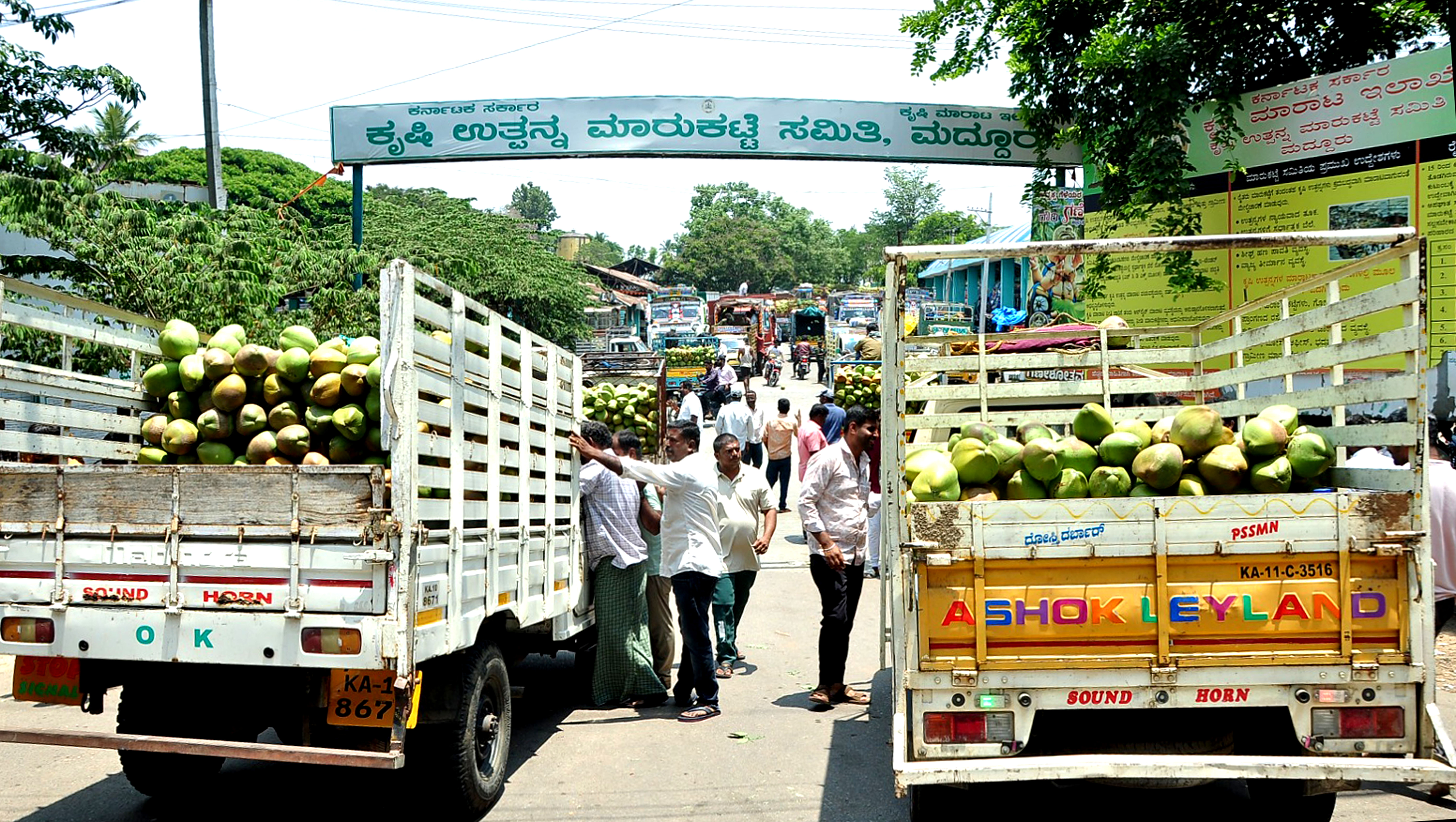 ಮದ್ದೂರು ಎಪಿಎಂಸಿ ಮಾರುಕಟ್ಟೆಗೆ ಎಳನೀರು ತುಂಬಿಕೊಂಡು ಬಂದ ವಾಹನಗಳು 