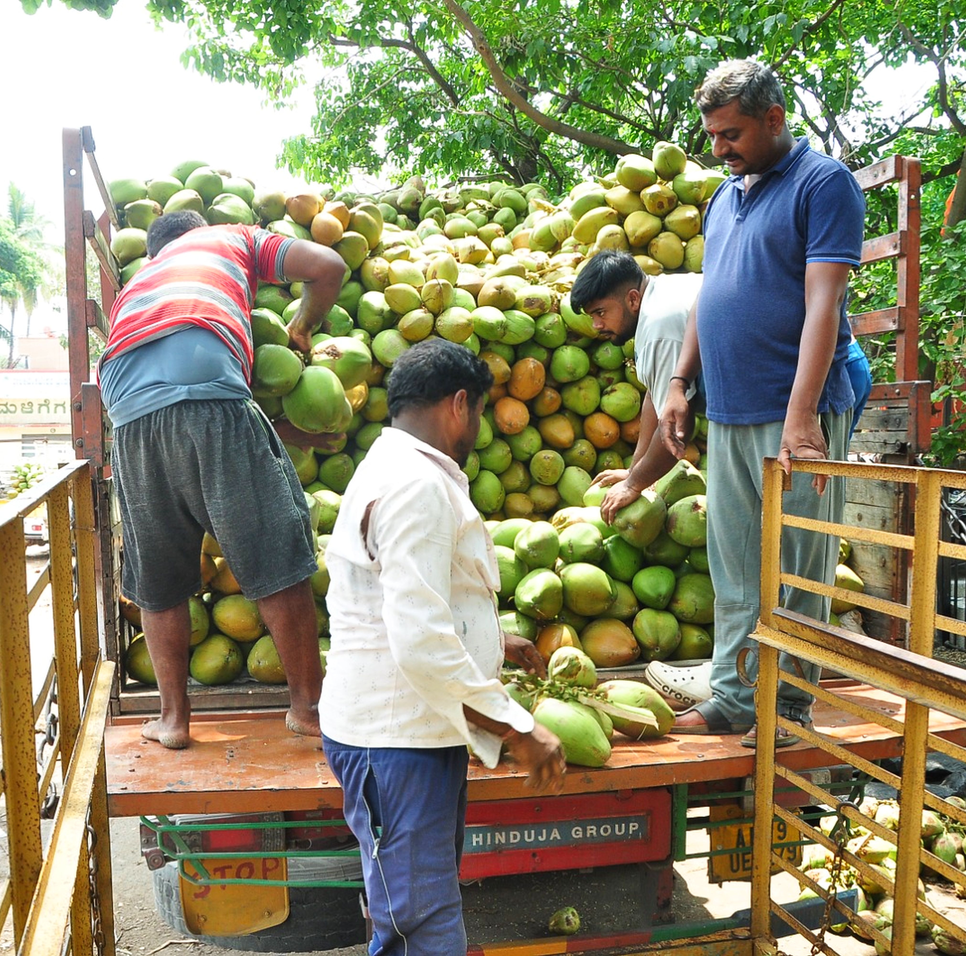 ಹೊರರಾಜ್ಯಕ್ಕೆ ಎಳನೀರು ಕಳುಹಿಸಲು ಲಾರಿ ಲೋಡ್‌ ಮಾಡುತ್ತಿರುವ ಕಾರ್ಮಿಕರು  