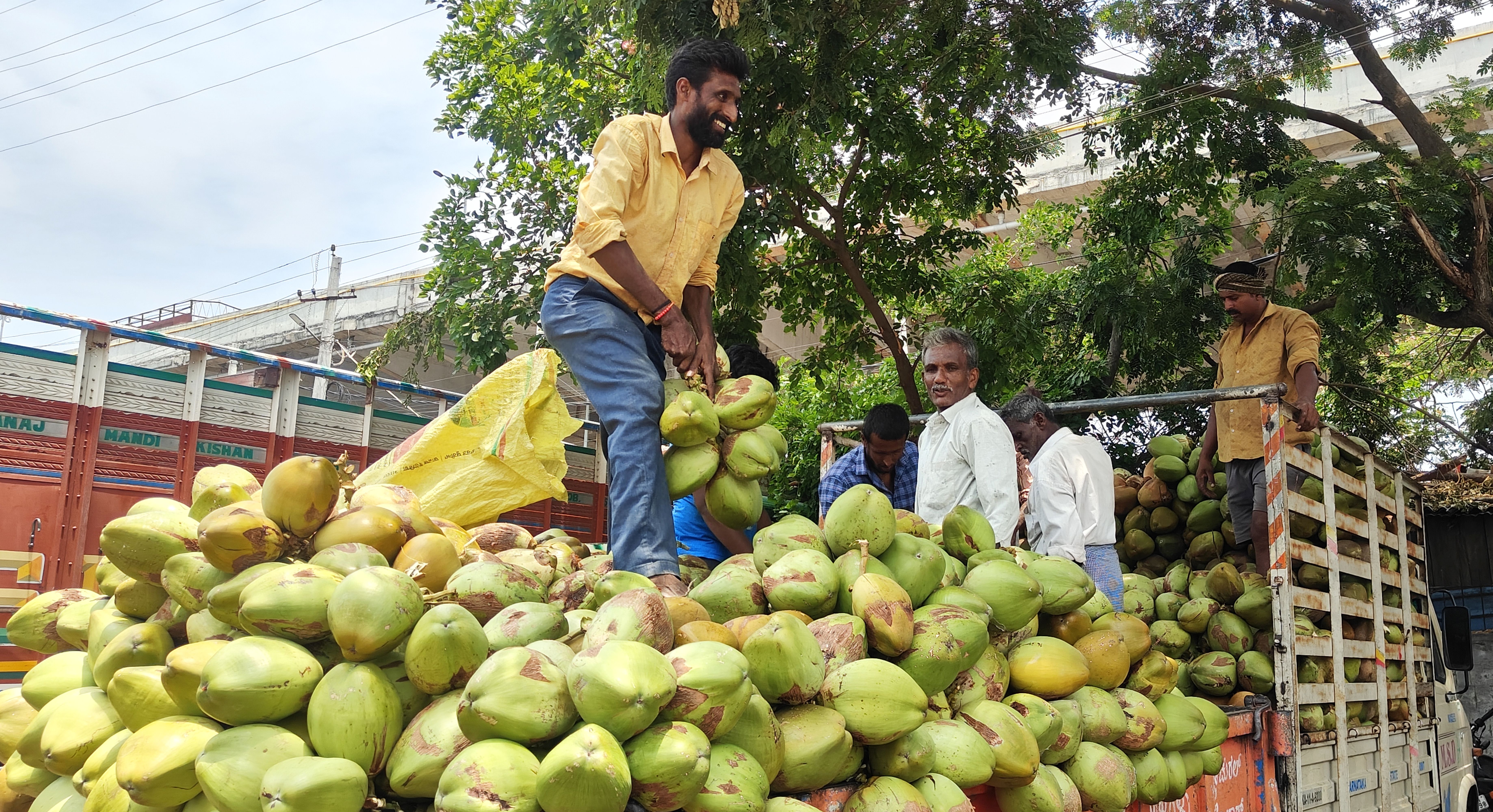 ಎಳನೀರು ಲೋಡಿಂಗ್‌ 