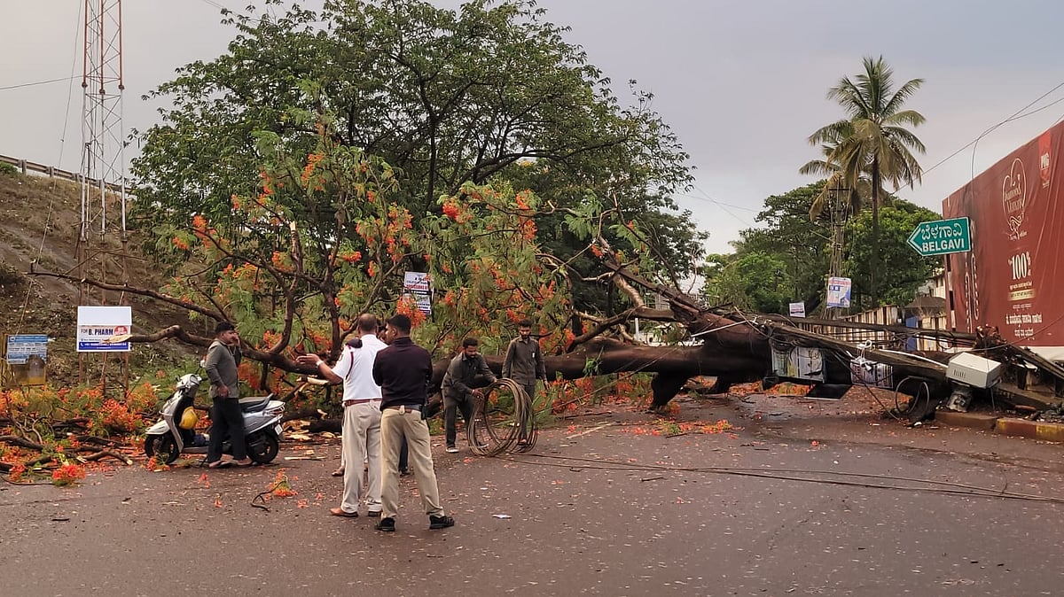 ಬೆಳಗಾವಿ| ಧಾರಾಕಾರ ಮಳೆ ಹಾಗೂ ಬಿರುಗಾಳಿ: 6 ಮರ, 3 ವಿದ್ಯುತ್‌ ಕಂಬ ಧರೆಗೆ