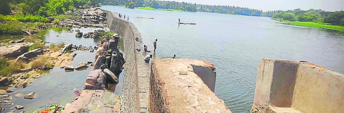 ಹೇಮಾವತಿ: ಎಡದಂಡೆ ನಾಲೆಯಲ್ಲಿ ಹರಿಯದ ಹೇಮೆ