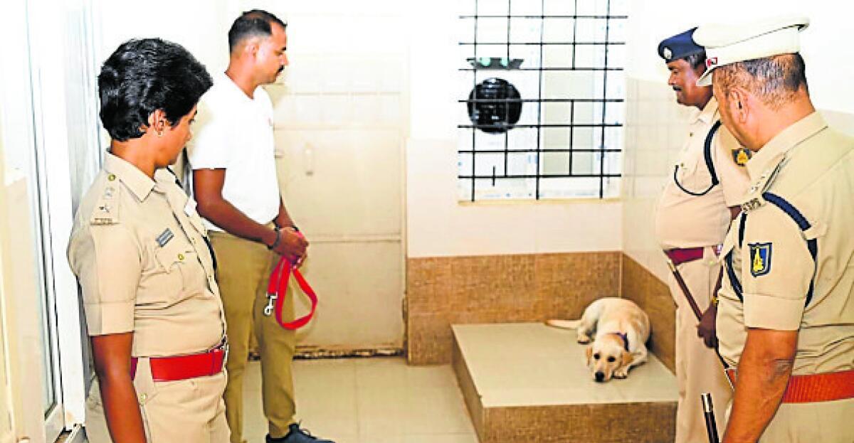 ಪೊಲೀಸ್‌ ಶ್ವಾನಗಳಿಗೆ ಏರ್‌ ಕೂಲರ್: ಹಾವೇರಿ ಜಿಲ್ಲಾ ಪೊಲೀಸ್ ಇಲಾಖೆ ಹೊಸ ಕ್ರಮ